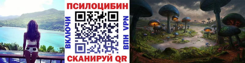 Псилоцибиновые грибы Psilocybe  даркнет сайт  Новочебоксарск 