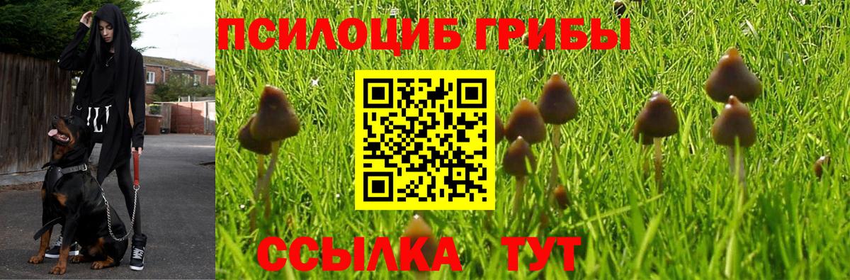 Новочебоксарск  Псилоцибиновые грибы GOLDEN TEACHER  Вход с VPN 